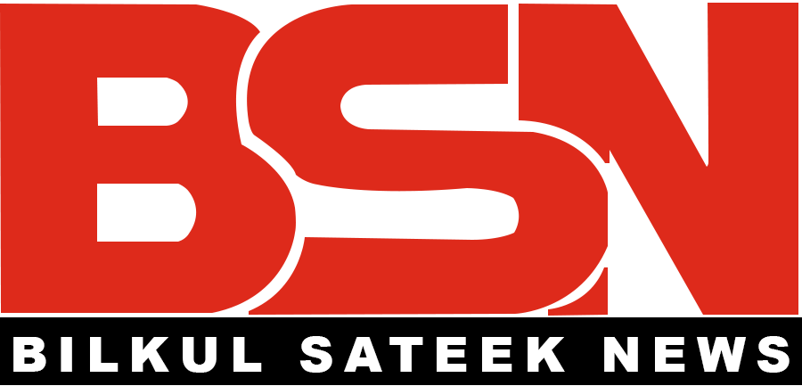 cropped-BSN-logo-1.png