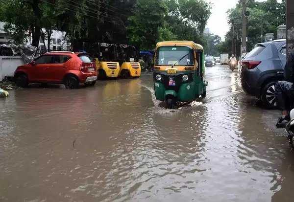 rain water 1