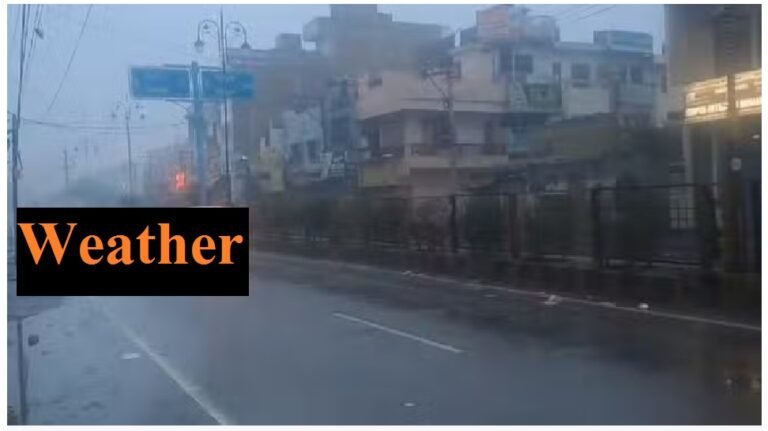 weather hariyana