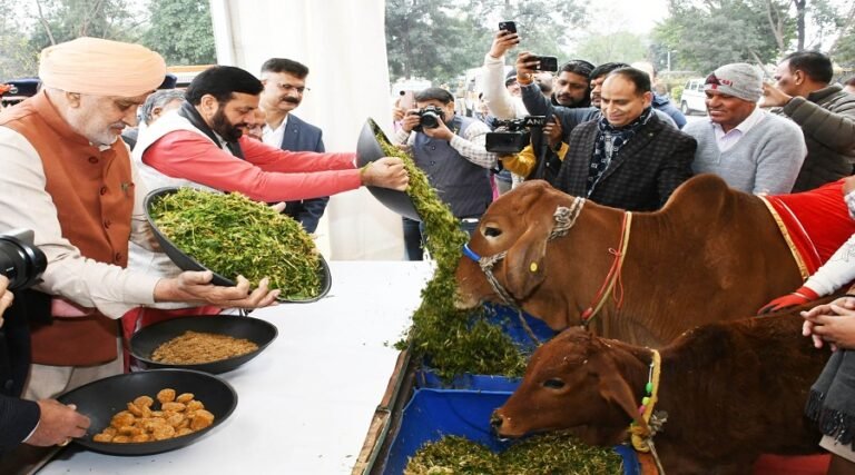 cm nayab singh saini gau sewa