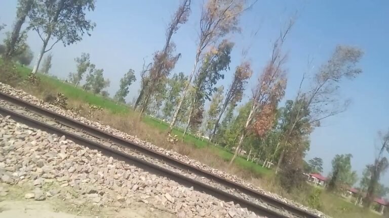 train line