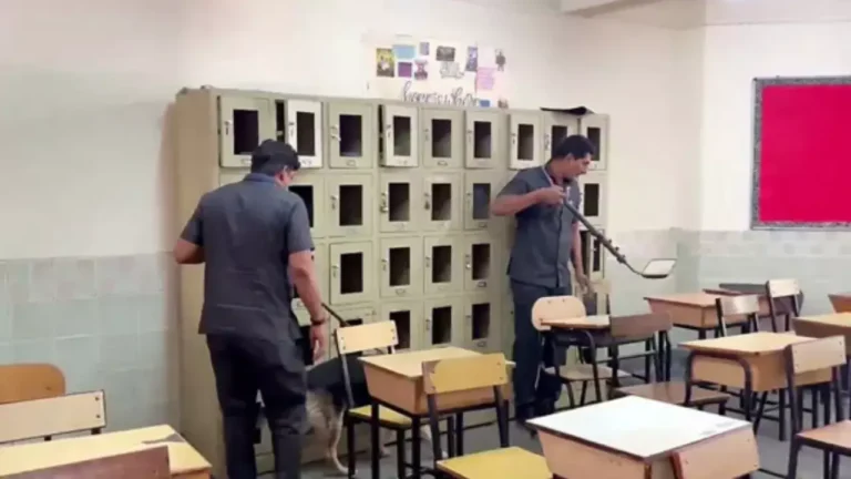 फोटो सोर्स सोशल मीडिया