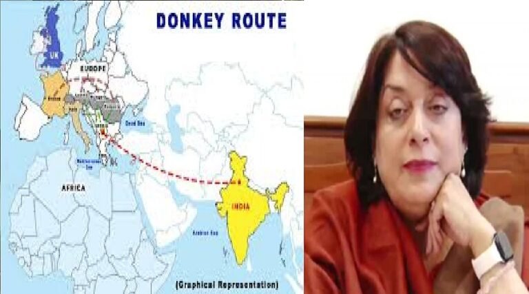 donkey route haryana govt make law