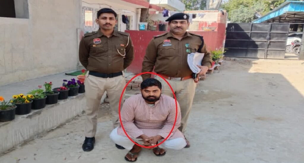 fake IPS