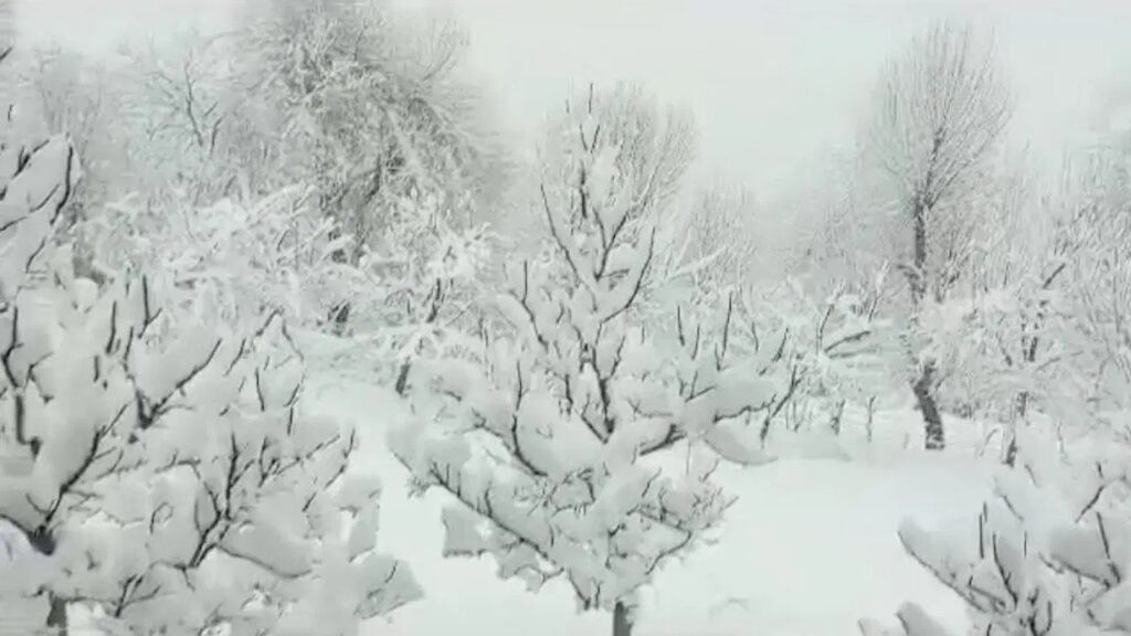 snowfall in himachal