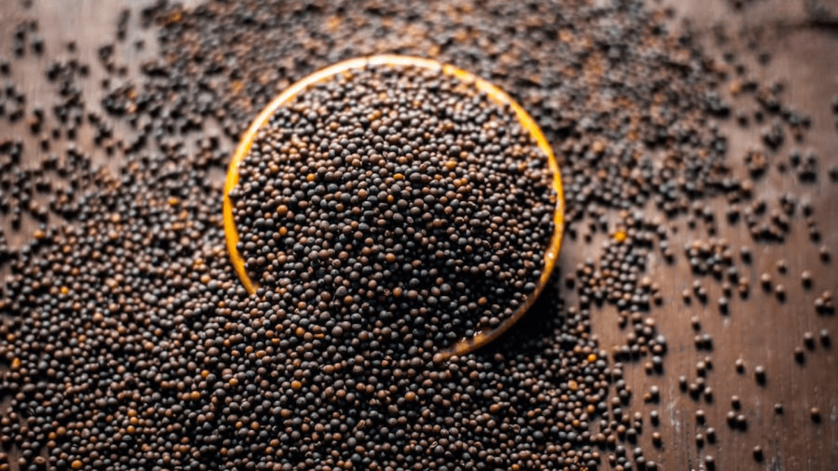 Mustard Final