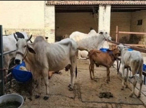 WhatsApp Image 2025-05-30 at 19.34.38