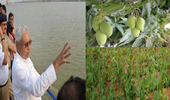 Bihar 21 June 2025