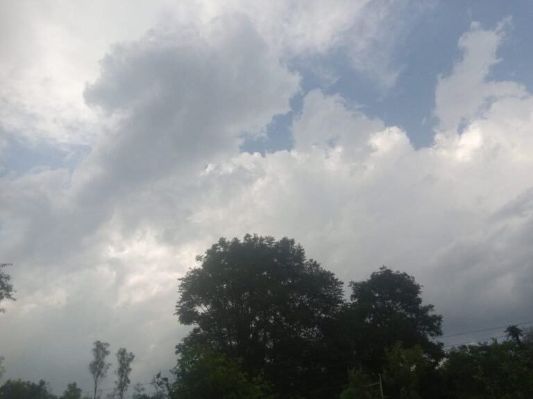 IMG-20250604-WA0064