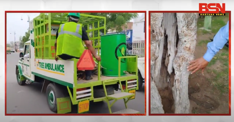 Tree Ambulance