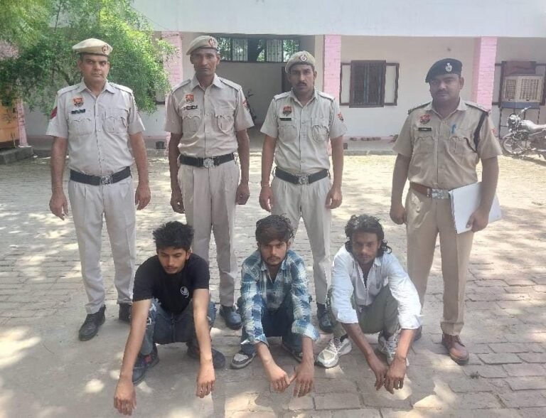 WhatsApp Image 2025-06-10 at 15.43.13