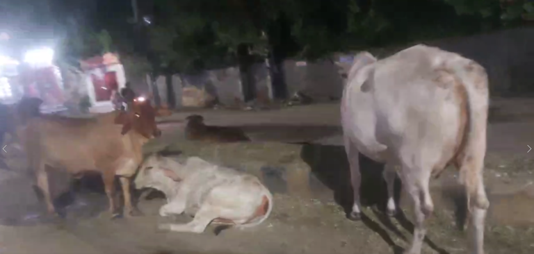 Screenshot (14)