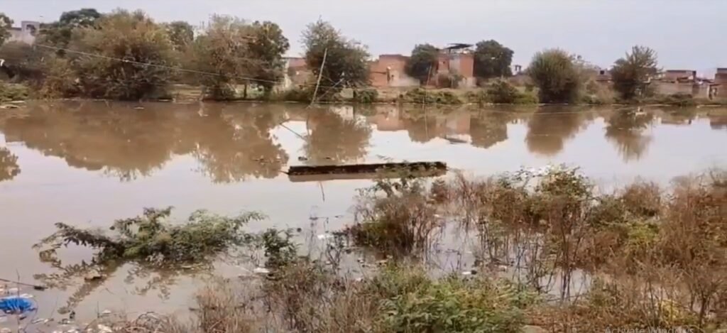 flood 2