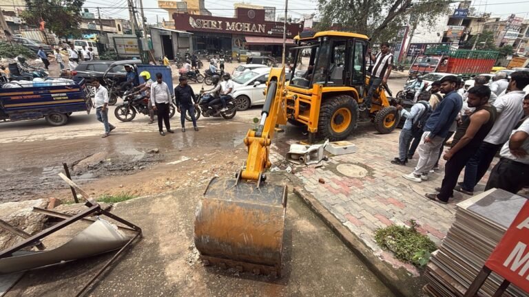 jcb 2
