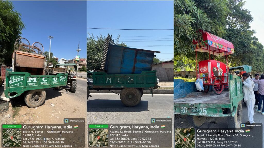 Copy of Copy of photo 2 (2)