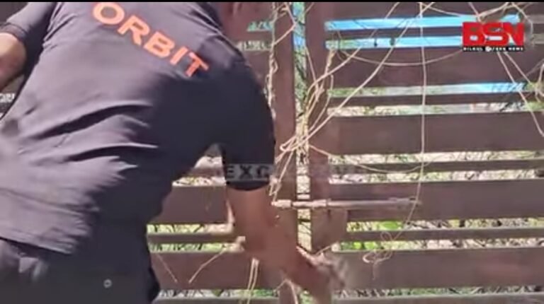 Screenshot_2025-09-11-23-14-42-15