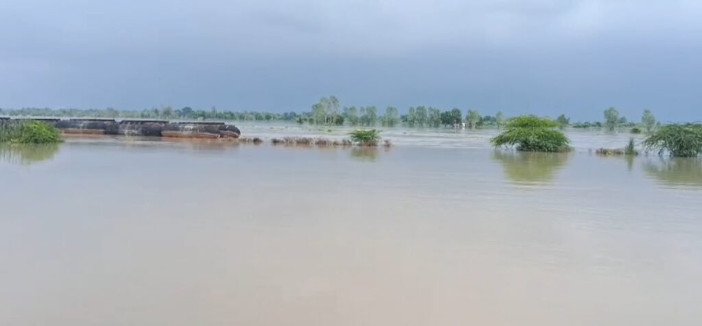 flood 1