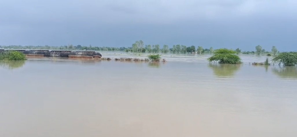 flood 1
