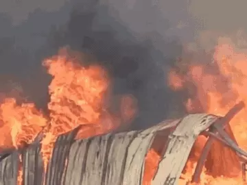 whatsappvideo2025-10-02at114553am-ezgifcom-resize_1759386173