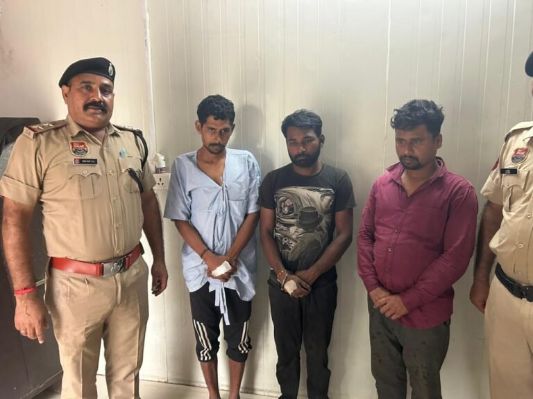 WhatsApp Image 2025-10-07 at 16.45.57