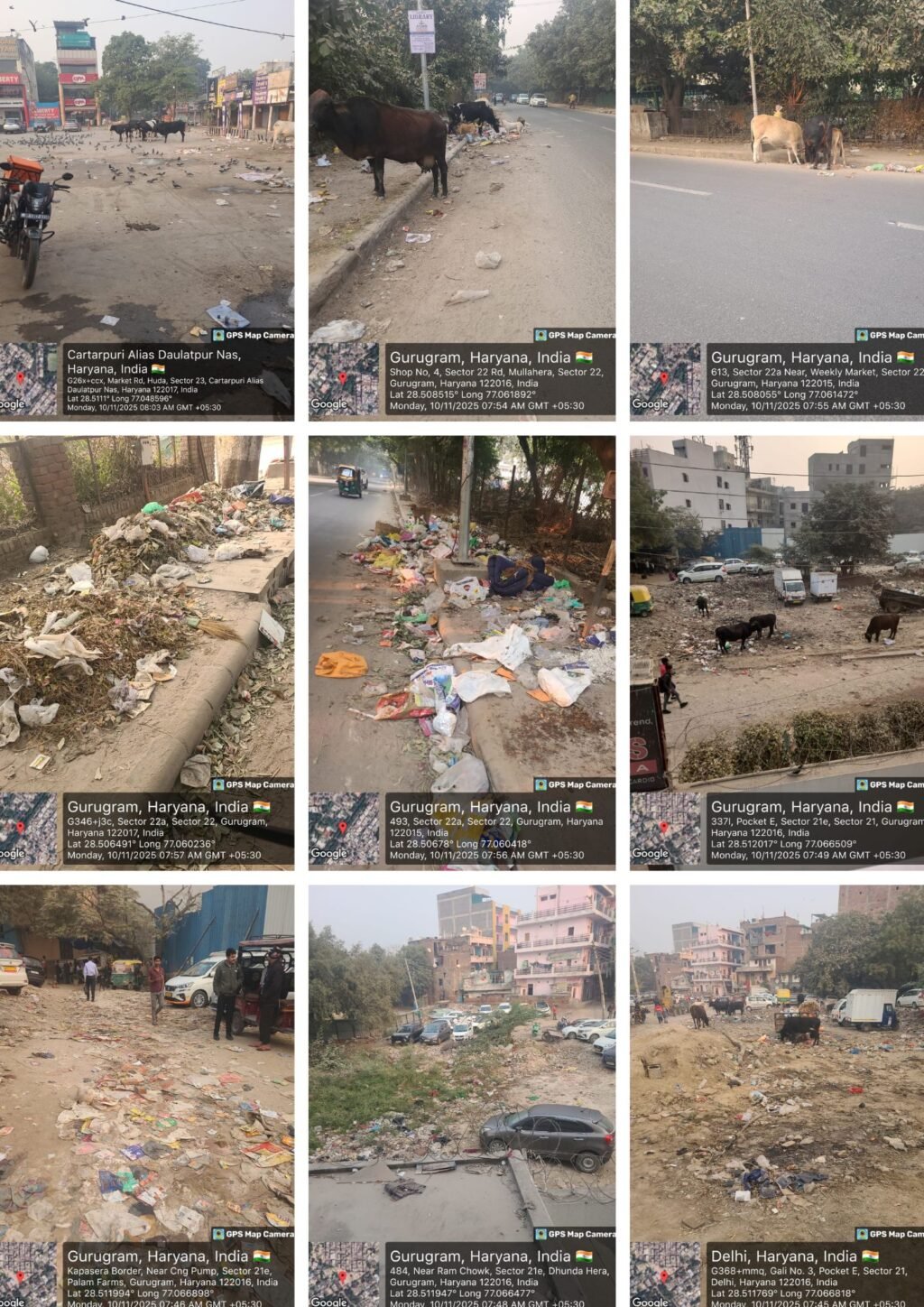 Sec 21 22 23 Garbage Collage 10 November 2025