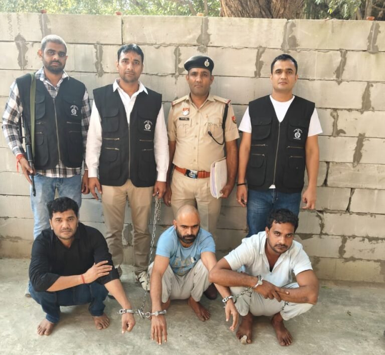 WhatsApp Image 2025-11-03 at 14.25.51