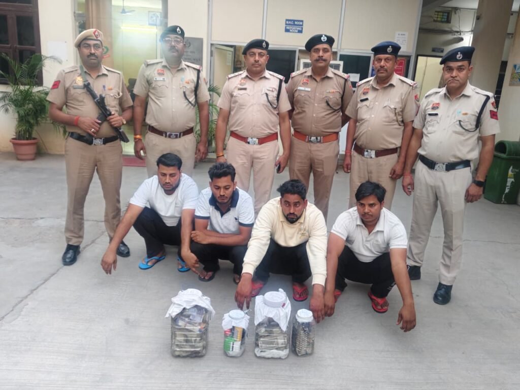 WhatsApp Image 2025-11-12 at 17.46.53