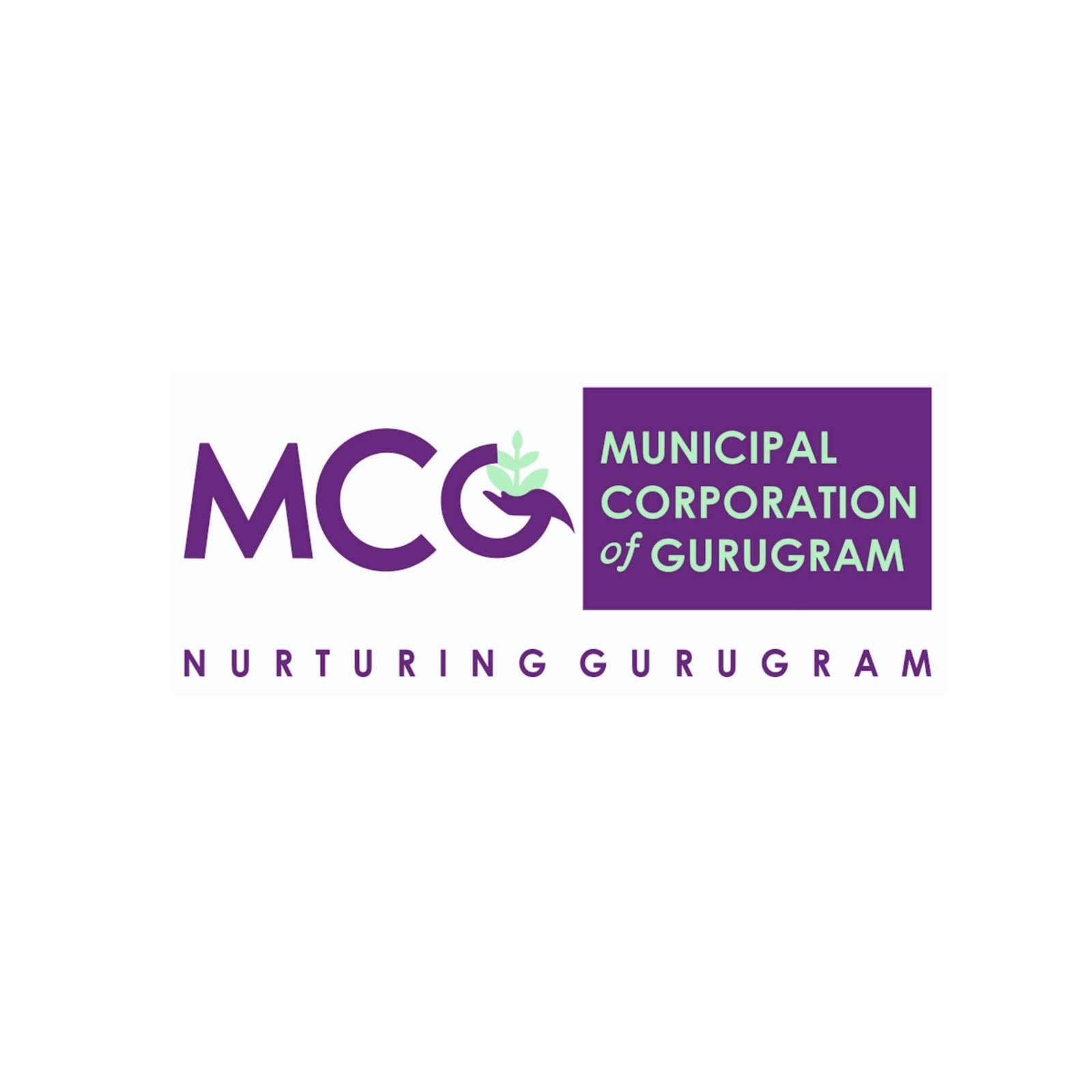 MCG 3