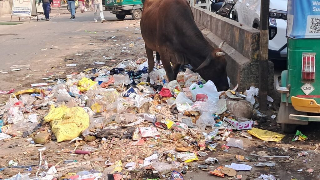 WhatsApp Image 2025-12-02 at 12.06.08