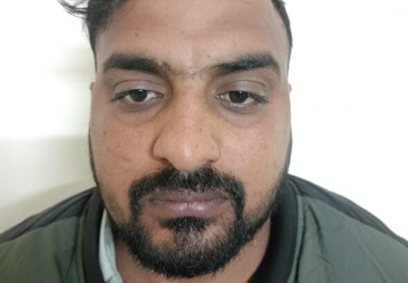 WhatsApp Image 2025-12-11 at 17.15.02