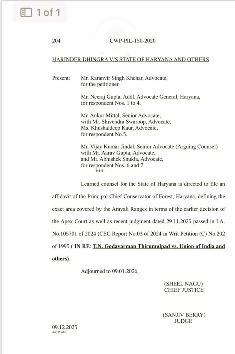 WhatsApp Image 2025-12-12 at 12.56.24