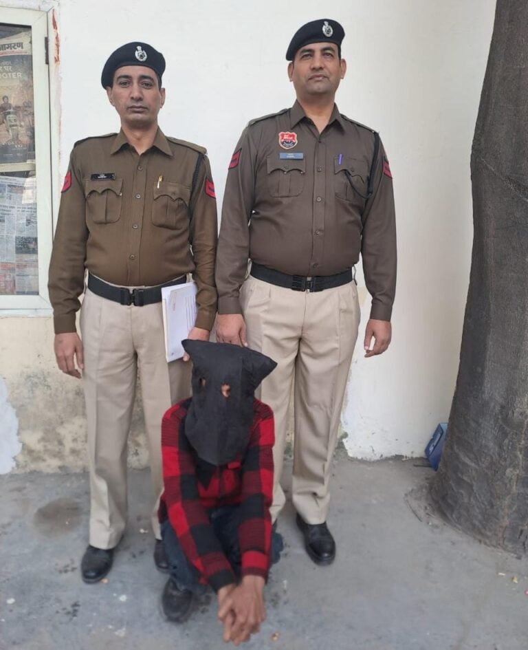 WhatsApp Image 2025-12-12 at 16.50.42