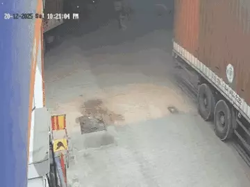 ezgif-62541cc4e478b488_1766315333