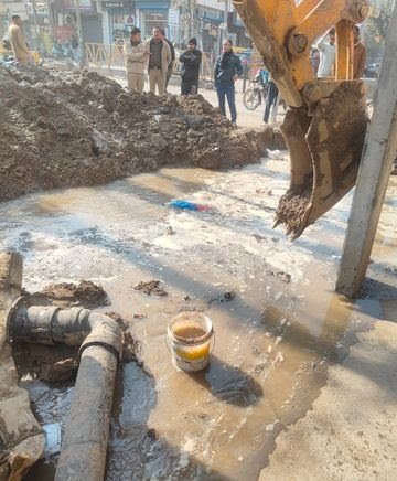 3bb35633-558d-4851-bede-100719b785e3_1769488196