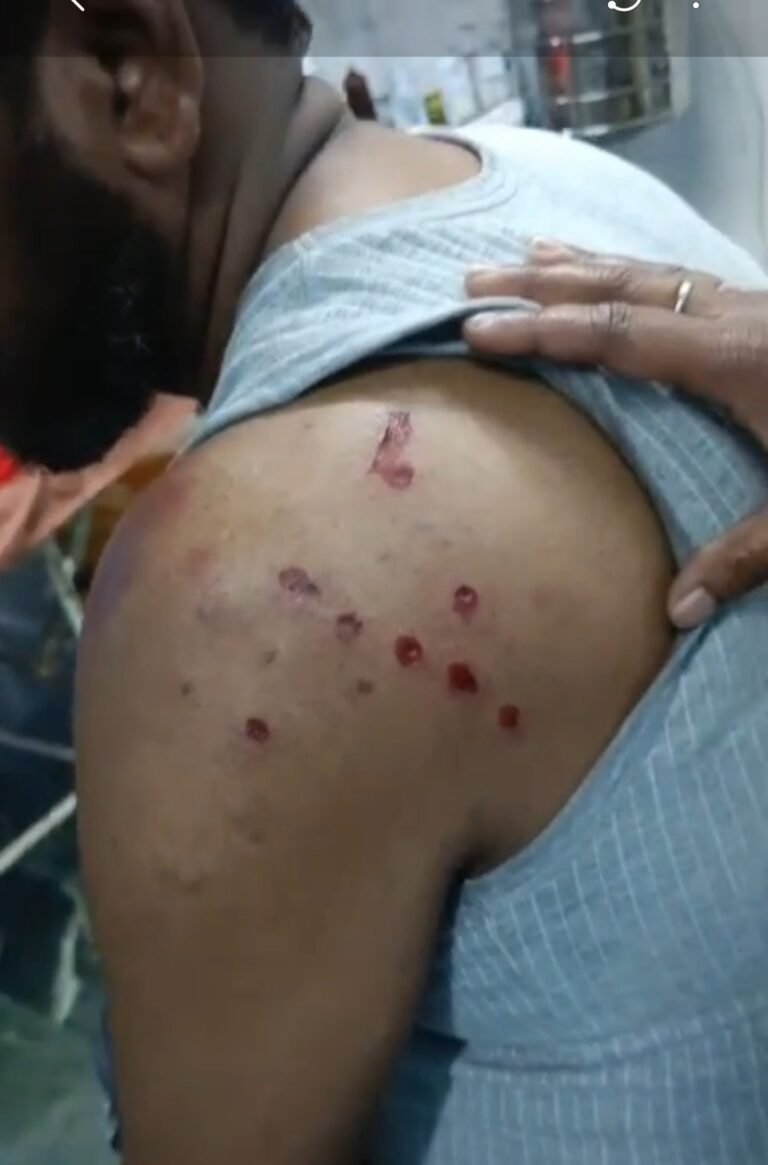 Screenshot_20260212_094730_Gallery