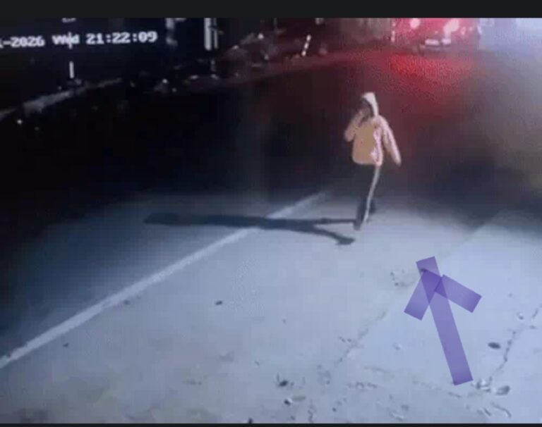 Screenshot_20260215_174605_Dainik Bhaskar