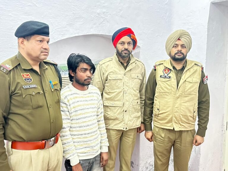 WhatsApp Image 2026-02-04 at 15.33.23