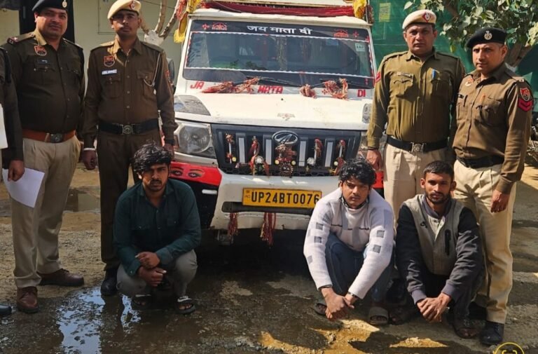 WhatsApp Image 2026-02-10 at 2.31.39 PM (1)