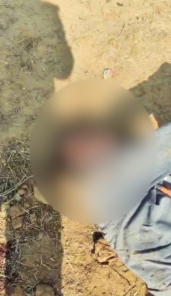 WhatsApp Image 2026-02-11 at 2.12.04 PM