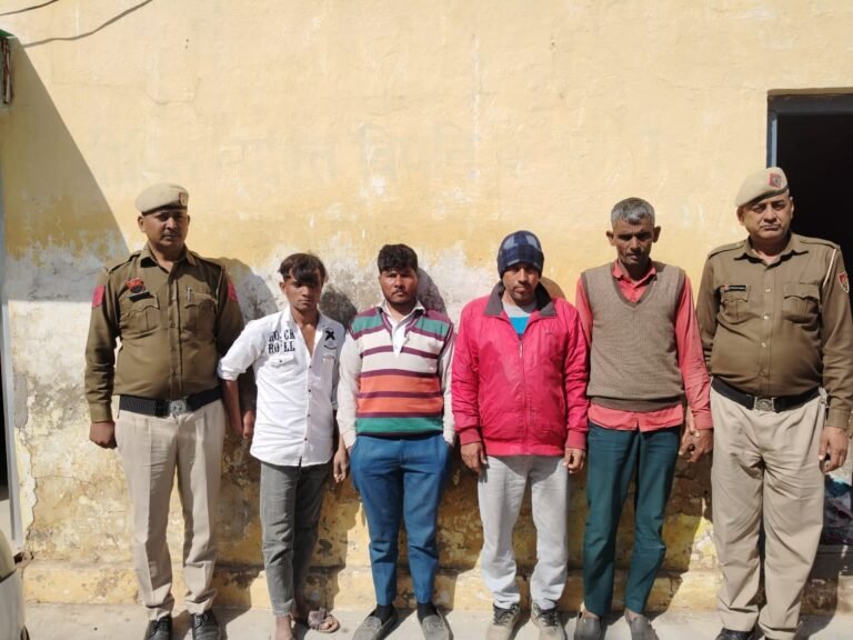 WhatsApp Image 2026-02-12 at 4.50.01 PM