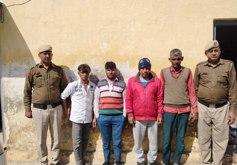 WhatsApp Image 2026-02-12 at 4.50.01 PM