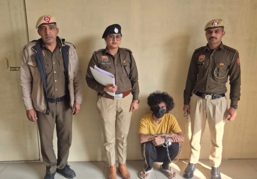 WhatsApp Image 2026-02-20 at 3.42.27 PM