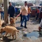 WhatsApp Image 2026-02-24 at 12.55.27 PM