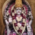 WhatsApp Image 2026-02-24 at 2.15.25 PM