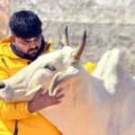 Bilkul Sateek_Monu_Manesar