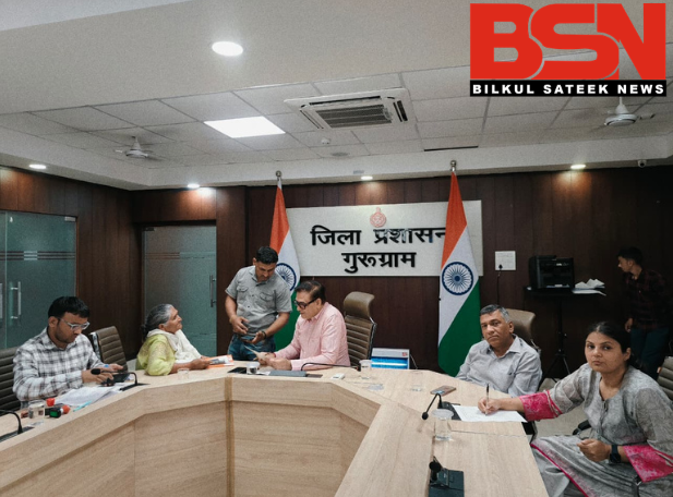 Untitled design (19)