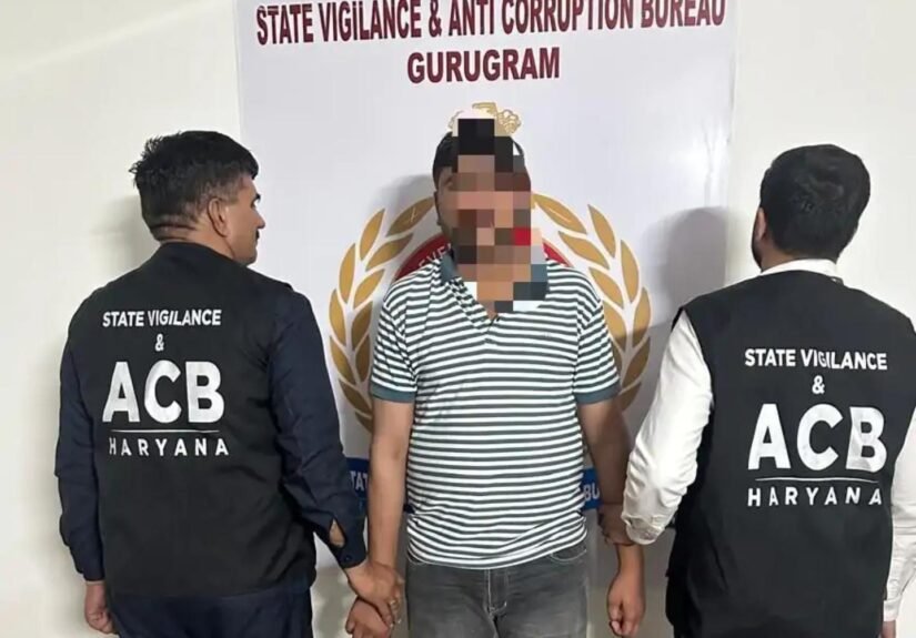 WhatsApp Image 2026-03-05 at 1.00.27 PM