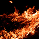 बिल्कुल सटीक न्यूज, गुड़गांव