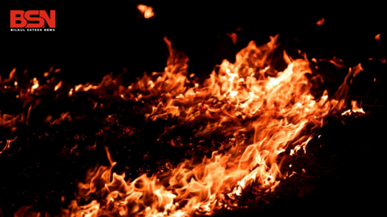 बिल्कुल सटीक न्यूज, गुड़गांव