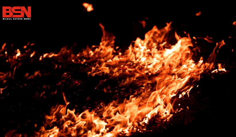 बिल्कुल सटीक न्यूज, गुड़गांव